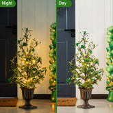 Glitzhome 36"H LED Lightd St. Patrick's Shamrock Urn Porch Tree with Timer