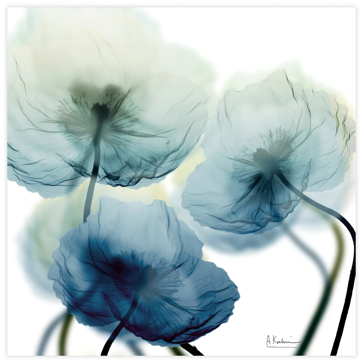 "Unfocused Beuaty 1" Frameless Free Floating Tempered Glass Panel Graphic Wall Art